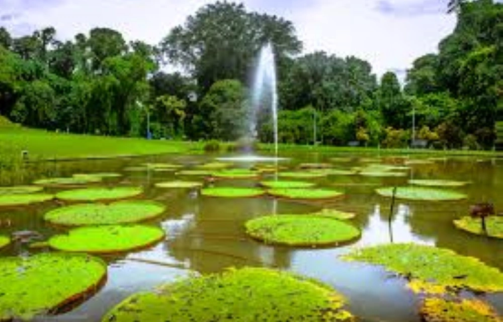 Hotel Supratman Bandung Attraction Pictures